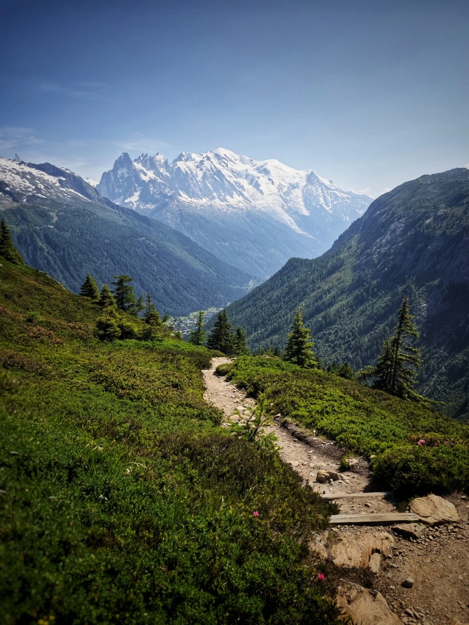 Alpängsstig med utsikt över Mont-Blanc, mellan Col de Balme och Trè-le-Champ