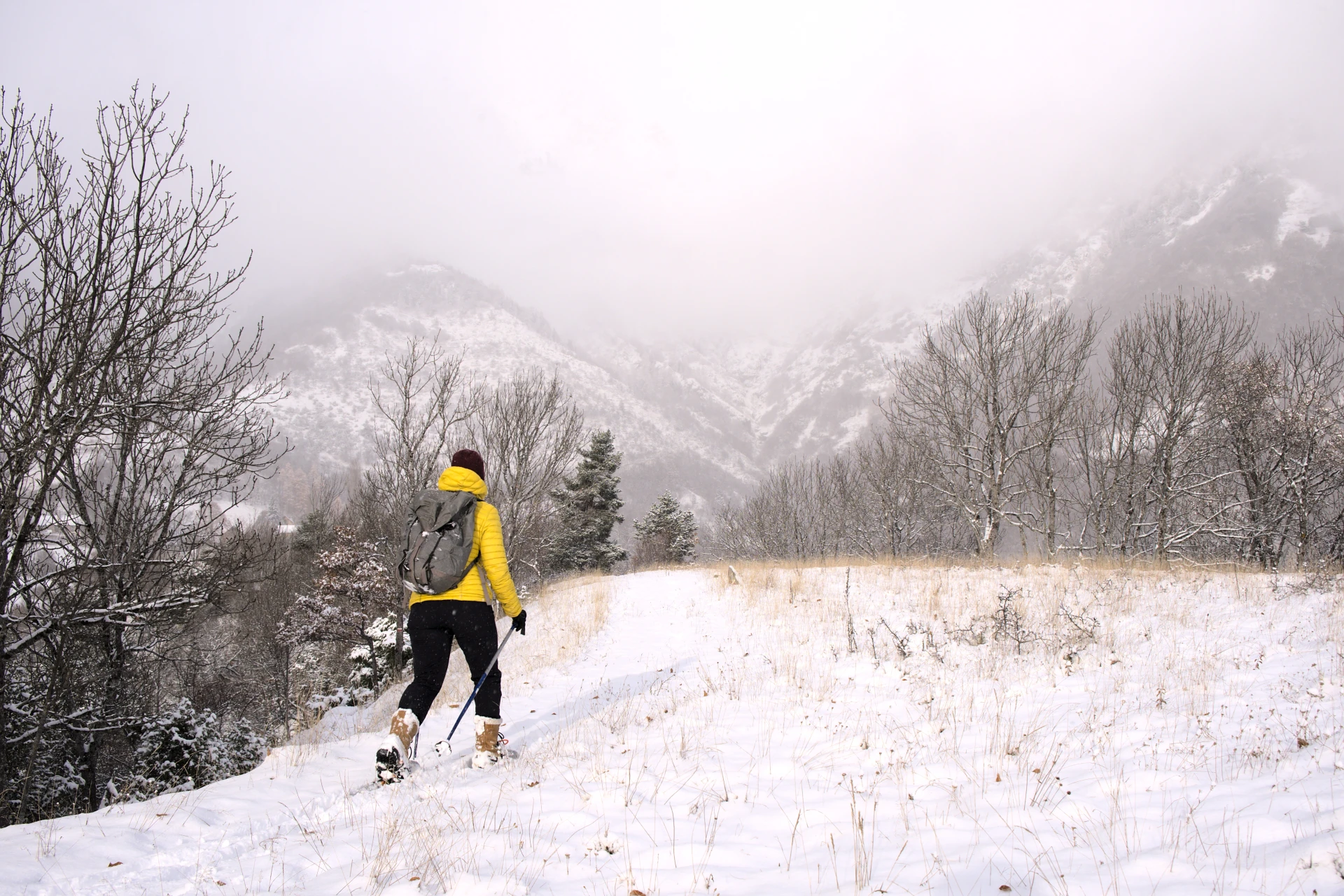 introduktion till snöskovandring