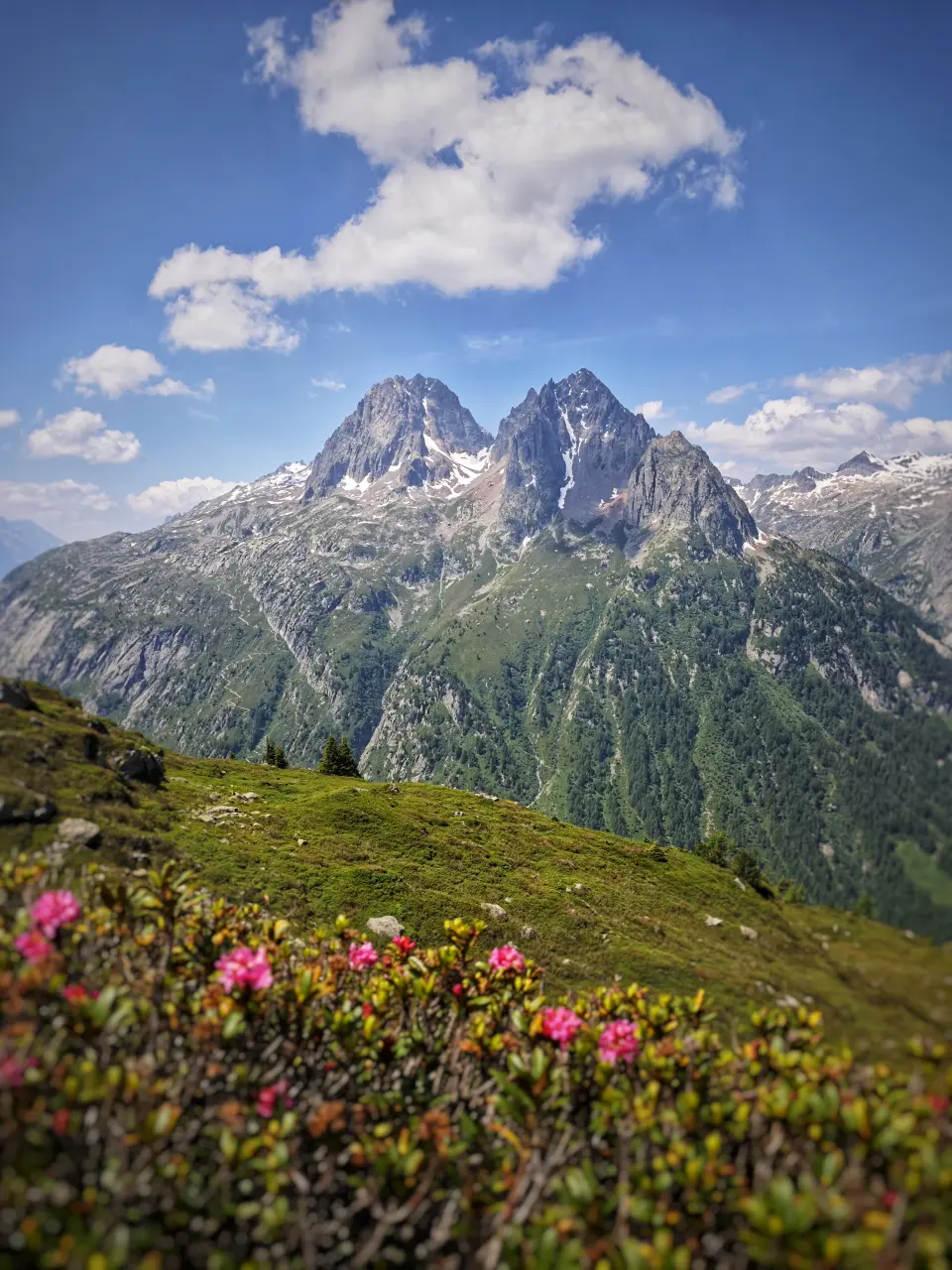 Aiguilles Rouges from TMB