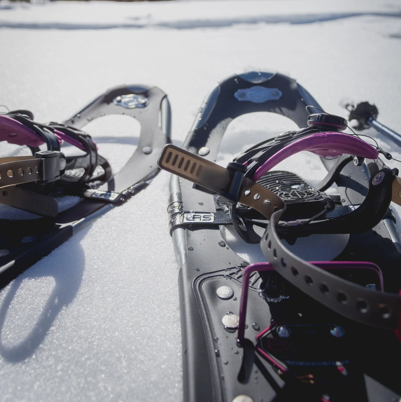 Uthyrning av snöskor