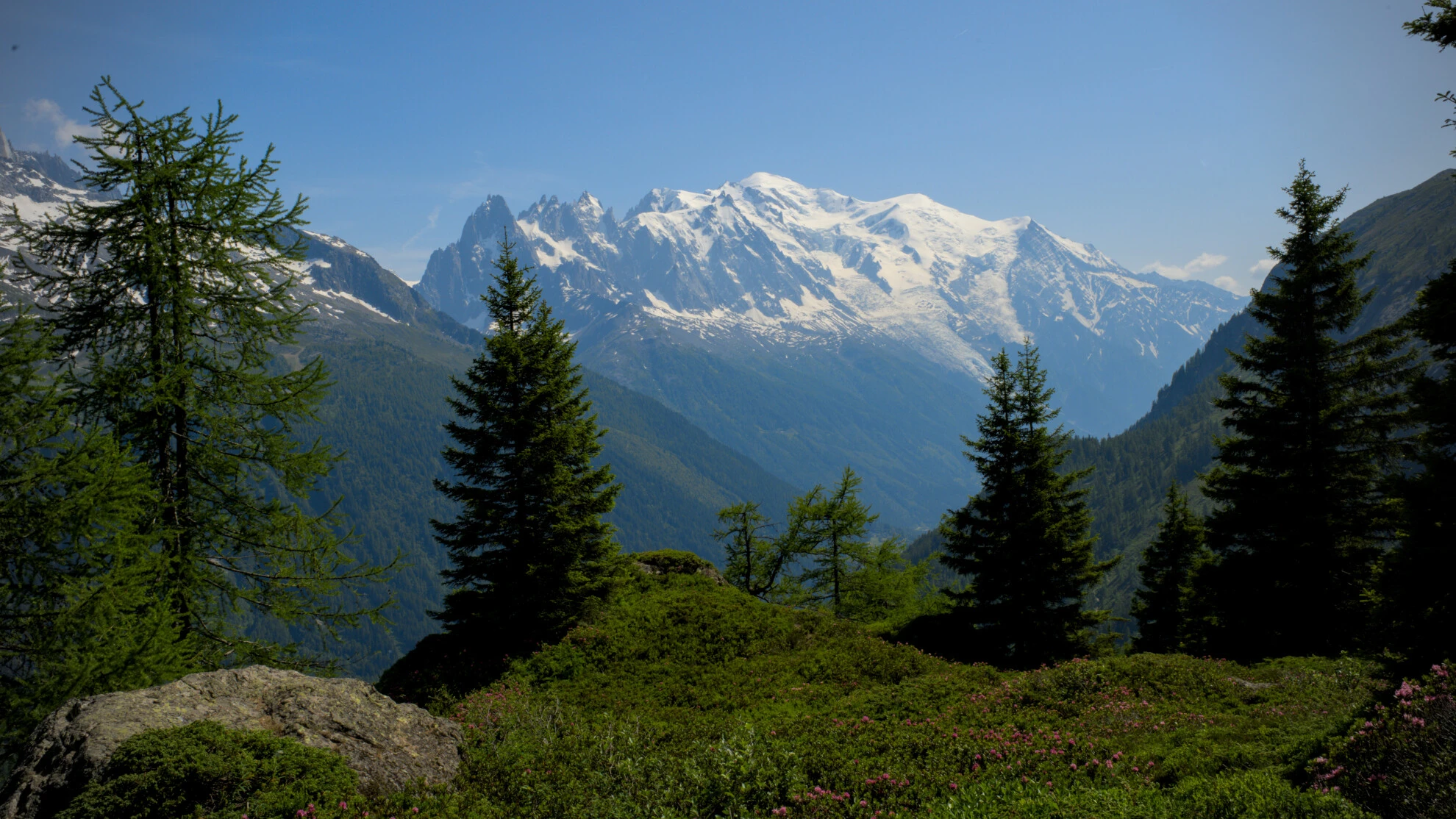 Alpang på Grand Balcon Sud med Mont-Blanc-massivet i bakgrunden