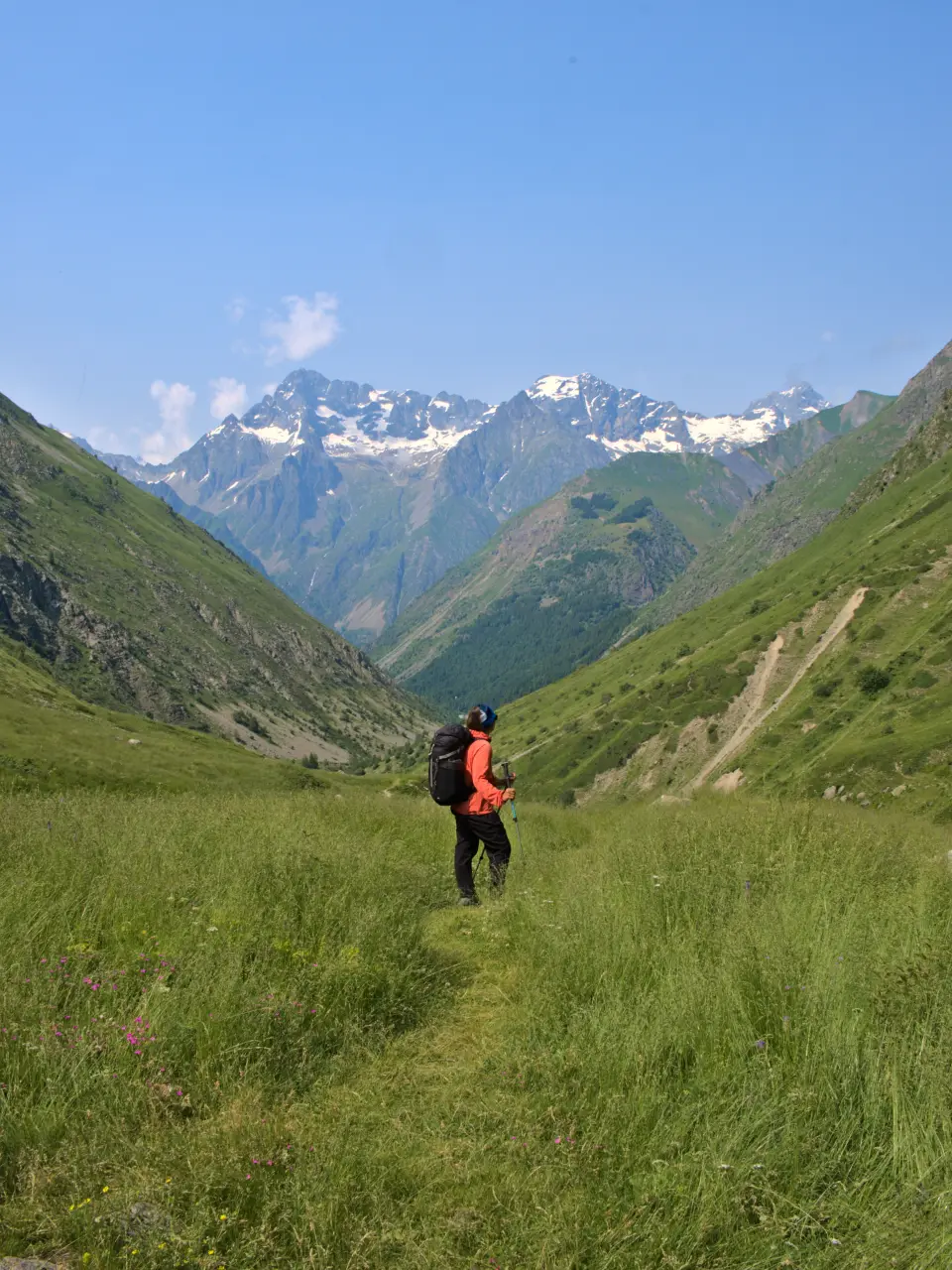 Alpine meadow hiking - Écrins