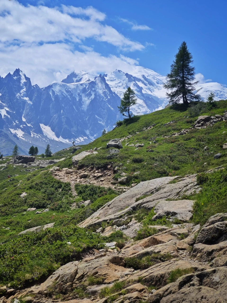 Leden ovanför col des Montets, med Mont-Blanc-massivet mitt emot hela vägen upp